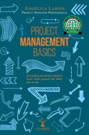 Project Management Basics - A Beginner's Guide cover image