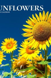 Sunflowers | 2025 7 x 14 Inch Monthly Mini Wall Calendar | BrownTrout | Flower Outdoor Plant cover image