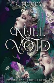 Null & Void A Dark Romantic Fantasy Full of Feminine Rage. cover image