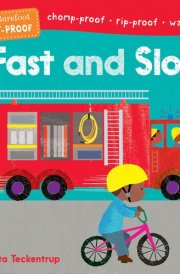 Fast and Slow cover image