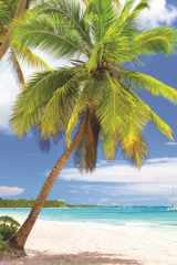 Beaches: 2025-2026 28-Month Inspirational Pocket Planner cover image