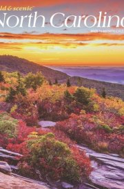 North Carolina Wild & Scenic | 2025 12 x 24 Inch Monthly Square Wall Calendar | Plastic-Free | BrownTrout | USA United States of America Southeast State Nature cover image