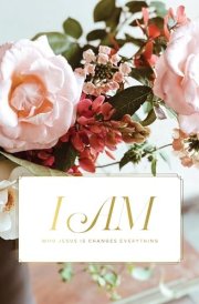 I Am - Who Jesus Is Changes Everything | Bible Study cover image