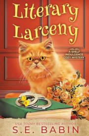 Literary Larceny cover image