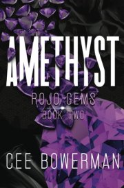 Amethyst: Rojo Gems, Book 2 (Rojo 2nd Generation: Rojo Gems) cover image
