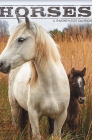 2025 Horses Mini Wall Calendar cover image