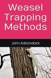 Weasel Trapping Methods cover image