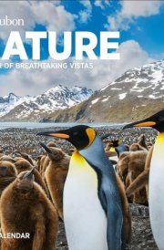 Audubon Nature Wall Calendar 2025: A Year of Breathtaking Vistas cover image