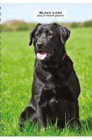 Black Labrador Retrievers | 2025 6 x 7.75 Inch Spiral-Bound Wire-O Weekly Engagement Planner Calendar | New Full-Color Image Every Week | BrownTrout | Animals Dog Breeds cover image