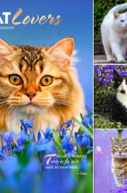 Cat Lovers 2025 12 X 24 Inch Monthly Square Wall Calendar Foil Stamped Cover Plastic-Free cover image