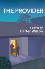 The Provider cover image