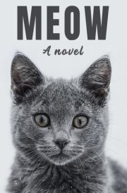 Meow: A Novel for Your Cat cover image