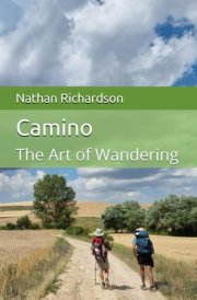 Camino: The Art of Wandering cover image