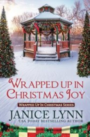 Wrapped Up in Christmas Joy cover image