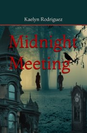 Midnight Meeting cover image