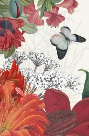Royal Botanic Gardens Kew Square Mini Calendar 2025 cover image
