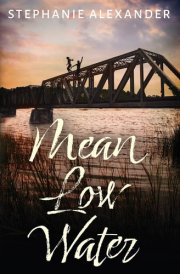Mean Low Water cover image