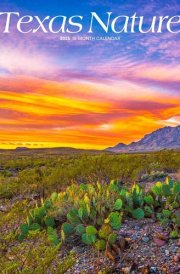 Texas Nature | 2025 12 x 24 Inch Monthly Square Wall Calendar | Plastic-Free | BrownTrout | USA United States of America Southwest State Wilderness cover image