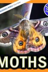 Moths!: A My Incredible World Picture Book for Children (My Incredible World: Nature and Animal Picture Books for Children) cover image