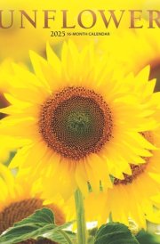 Sunflowers | 2025 12 x 24 Inch Monthly Square Wall Calendar | Foil Stamped Cover | Plato | Flower Floral Plant Outdoor Nature cover image