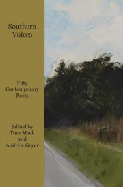 Southern Voices cover image