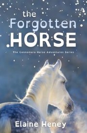 The Forgotten Horse - Dyslexia Friendly cover image