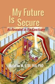 My Future Is Secure cover image
