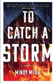 To Catch a Storm cover image