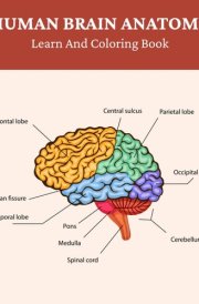 Human Brain Anatomy Learn and Coloring Book: Engage Your Mind While Coloring the Brain cover image