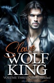 Slave to the Wolf King: Alpha Unleashed (Bound Series) cover image