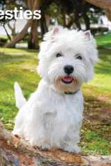 West Highland White Terriers 2025 12 X 24 Inch Monthly Square Wall Calendar Plastic-Free cover image