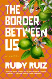The Border Between Us cover image
