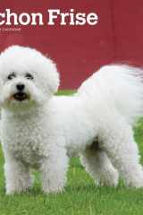 Bichon Frise | 2025 12 x 24 Inch Monthly Square Wall Calendar | Plastic-Free | BrownTrout | Animals Dog Breeds cover image