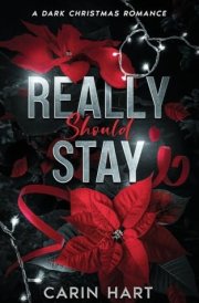 Really Should Stay cover image