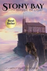 STONY BAY cover image