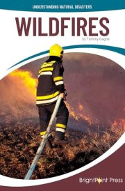 Wildfires cover image