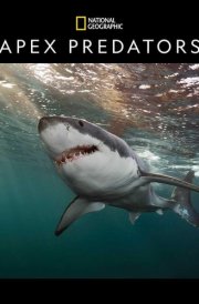 National Geographic: Apex Predators 2025 Wall Calendar cover image