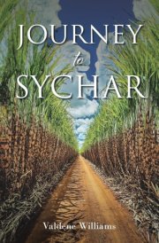 Journey to Sychar cover image