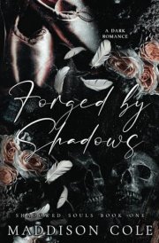 Forged by Shadows cover image