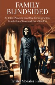 Family Blindsided An Estate Planning Road Map for Keeping Your Family Out of Court and Out of Conflict cover image