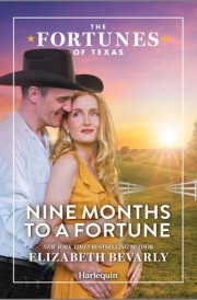 Nine Months to a Fortune cover image