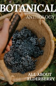 All About Elderberry cover image