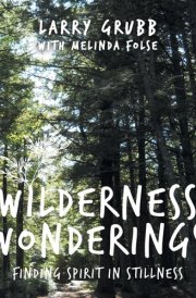 Wilderness Wonderings Finding Spirit in Stillness cover image