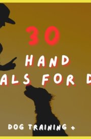 30 Hand signals for Dogs: Dog Training + cover image