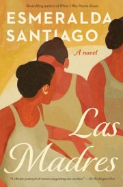 Las Madres A novel cover image