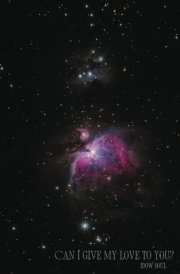 Can I Give My Love To You? cover image