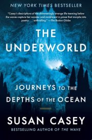 The Underworld Journeys to the Depths of the Ocean cover image