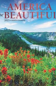 America the Beautiful | 2025 12 x 24 Inch Monthly Square Wall Calendar | Foil Stamped Cover | Plato | USA United States Scenic Nature cover image