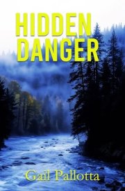 Hidden Danger cover image