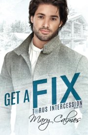Get A Fix: Torus Intercession Book Six cover image